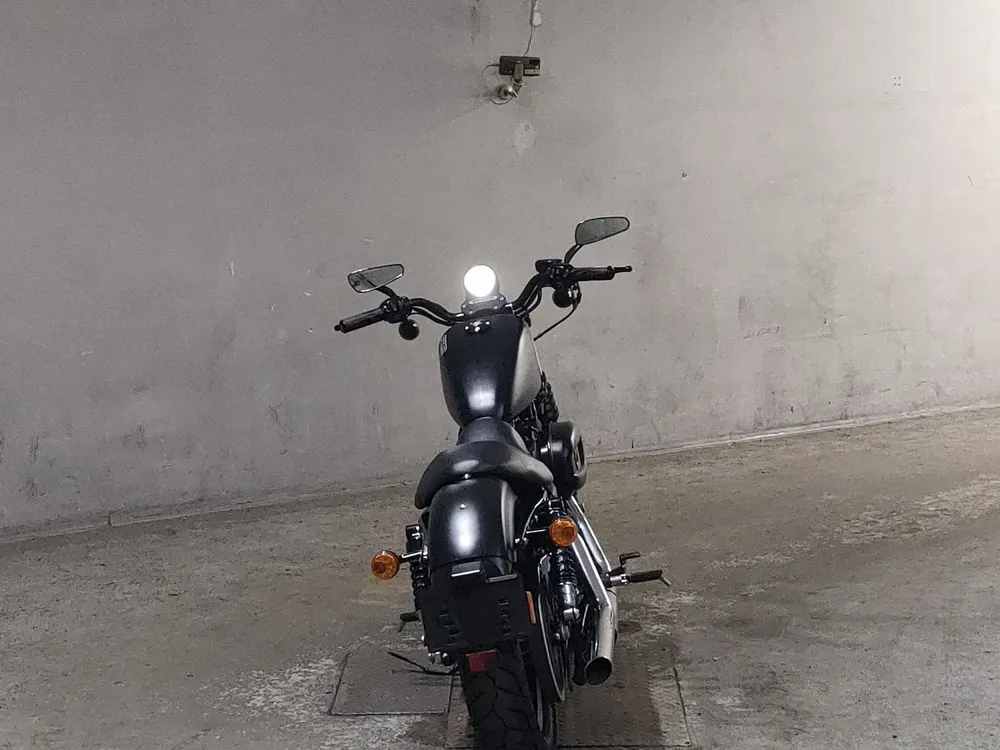 Harley-Davidson XL883N 2013, чёрный, фото 4