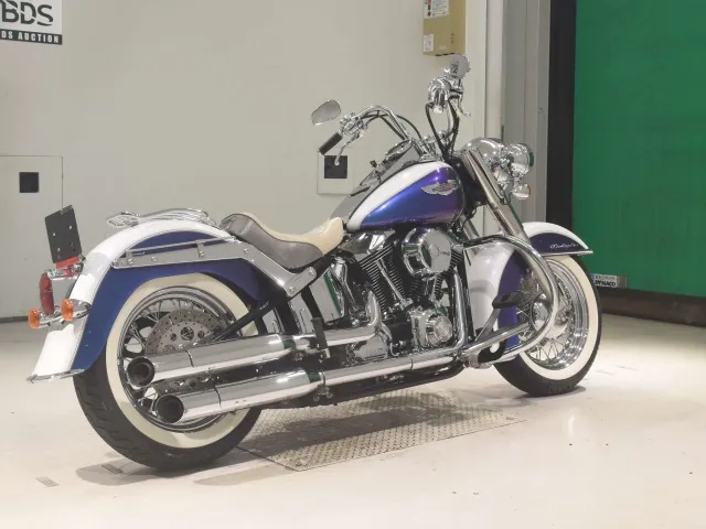 Harley-Davidson FLSTN1580 2009, white | blue, фото 5