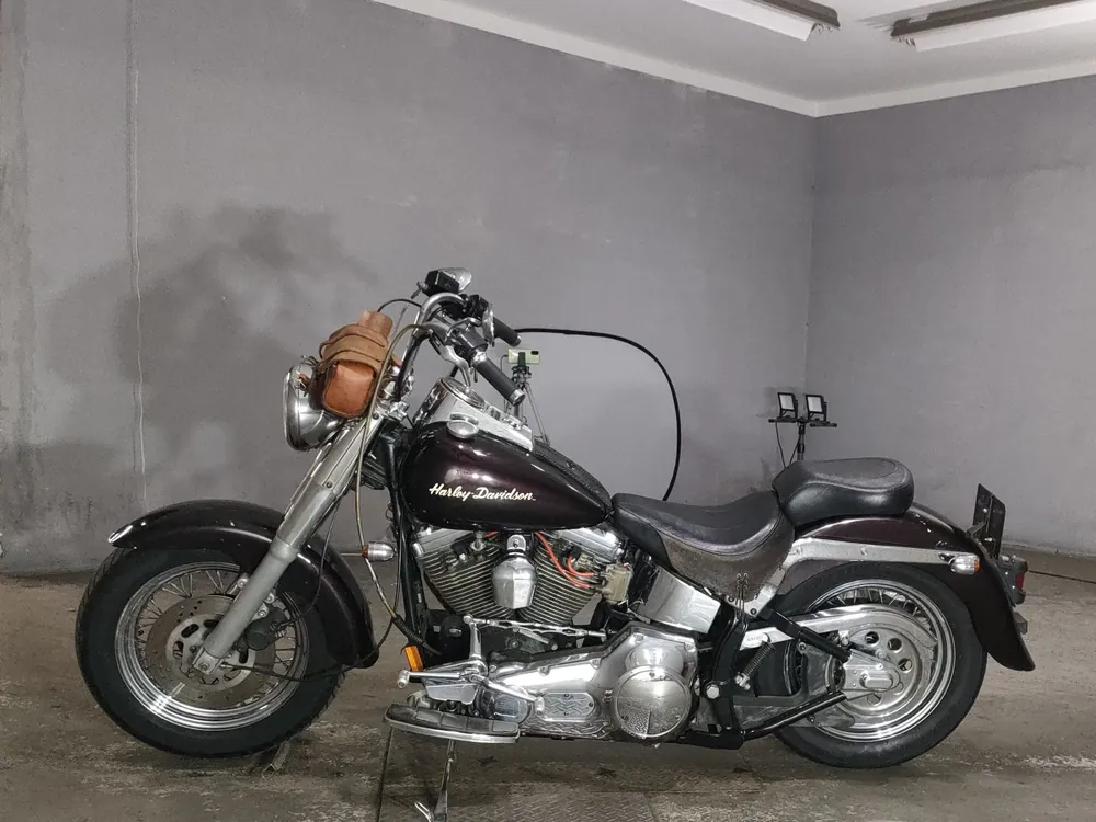 Harley-Davidson Heritage Softail FLST1340 1992, light brown, фото 2