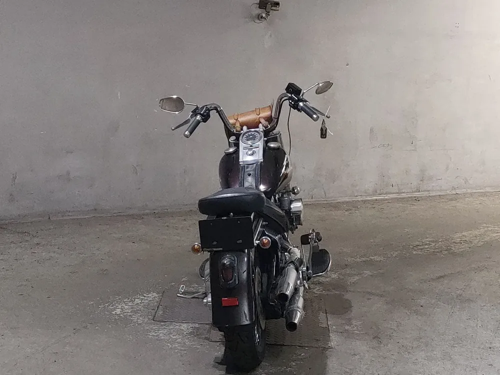 Harley-Davidson Heritage Softail FLST1340 1992, light brown, фото 4