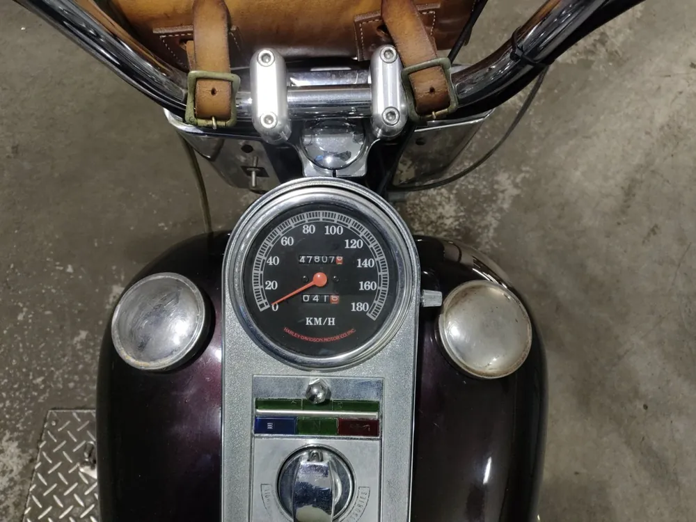 Harley-Davidson Heritage Softail FLST1340 1992, light brown, фото 5