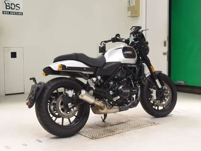 Harley-Davidson X500 2023, серебристый, фото 5