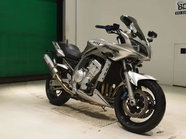 Yamaha FZS1000 FEATHER 2002, серебристый, фото 3