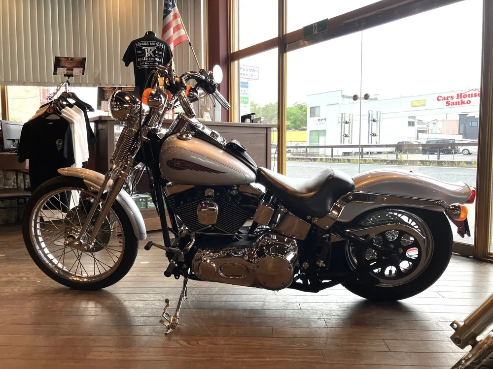 Harley-Davidson Springer Softail FXSTS1450 2000, серебристый, фото 2