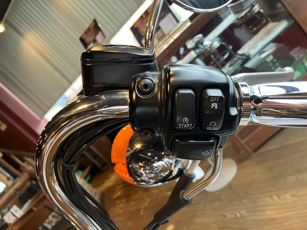 Harley-Davidson Springer Softail FXSTS1450 2000, серебристый, фото 14
