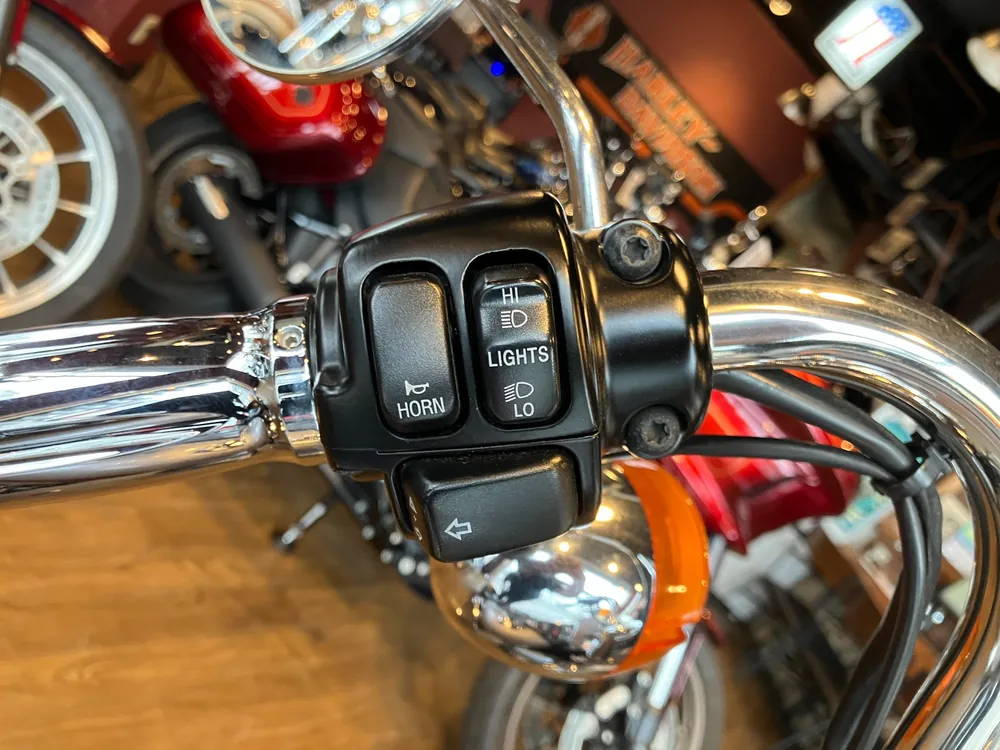 Harley-Davidson Springer Softail FXSTS1450 2000, серебристый, фото 15