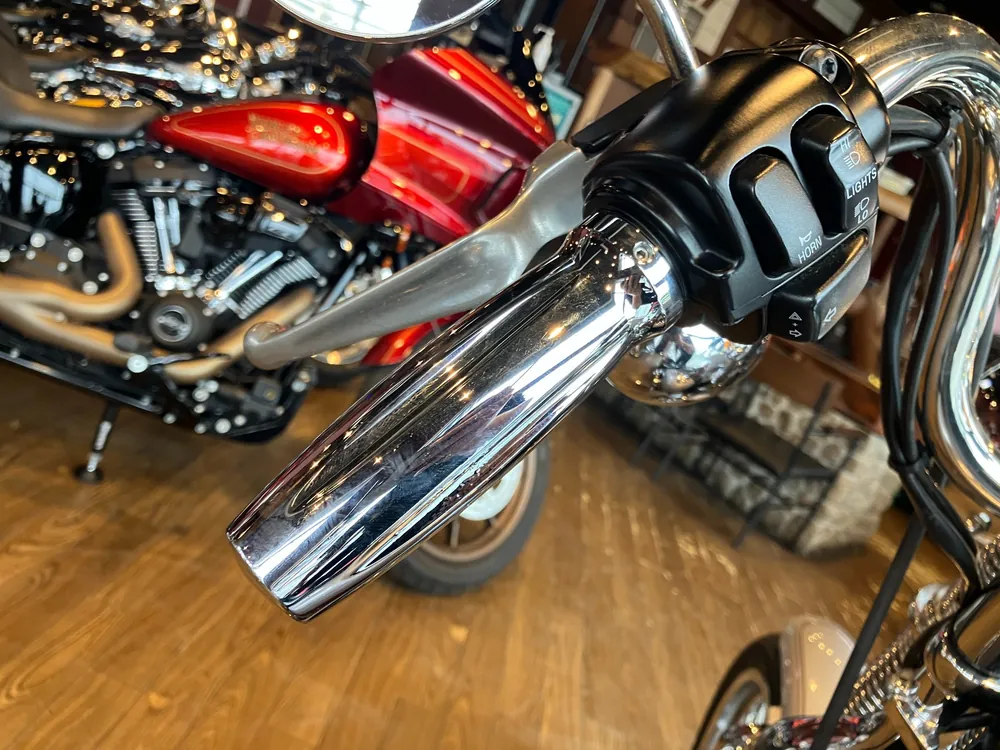 Harley-Davidson Springer Softail FXSTS1450 2000, серебристый, фото 16