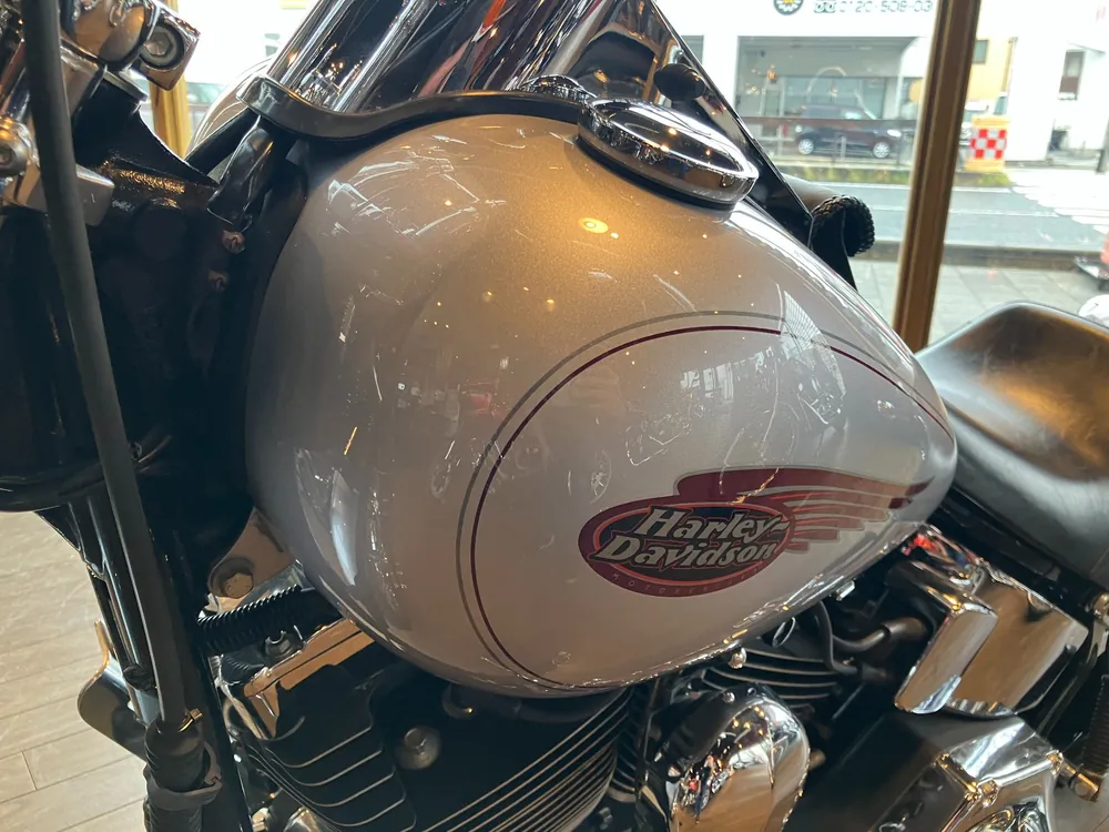 Harley-Davidson Springer Softail FXSTS1450 2000, серебристый, фото 18