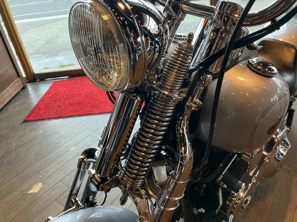 Harley-Davidson Springer Softail FXSTS1450 2000, серебристый, фото 8