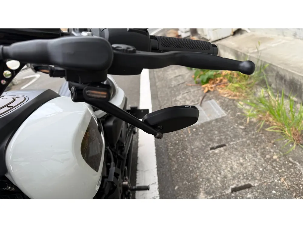 Harley-Davidson Sportster S 2022, p white, фото 13