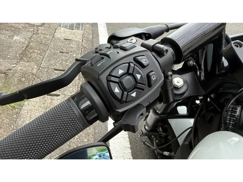 Harley-Davidson Sportster S 2022, p white, фото 16