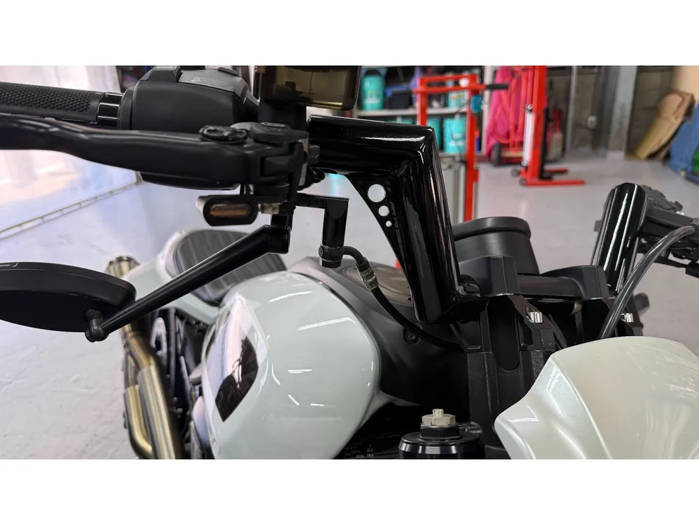 Harley-Davidson Sportster S 2022, p white, фото 18