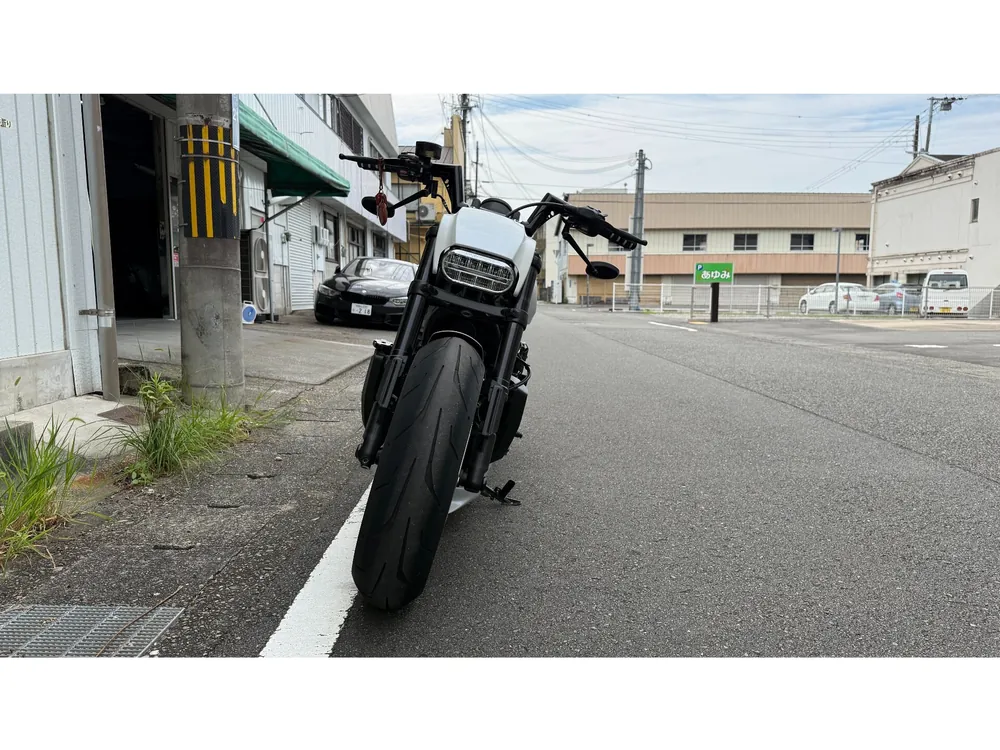 Harley-Davidson Sportster S 2022, p white, фото 4