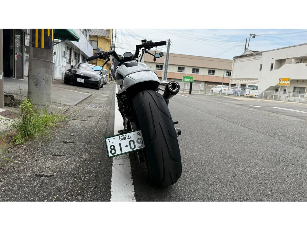 Harley-Davidson Sportster S 2022, p white, фото 5