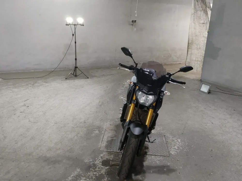 Yamaha MT-09 2016, серый, фото 3