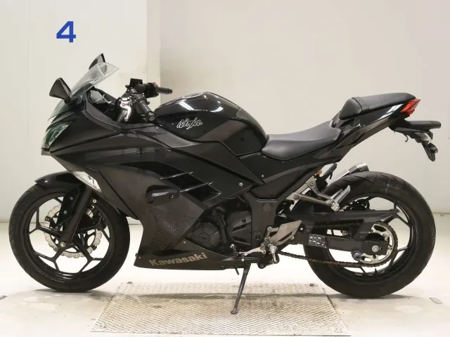 Kawasaki Ninja 300 2013, чёрный, фото 2
