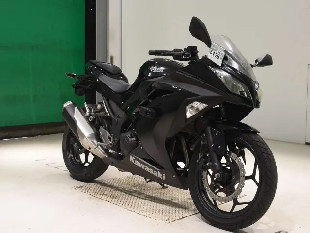 Kawasaki Ninja 300 2013, чёрный, фото 3