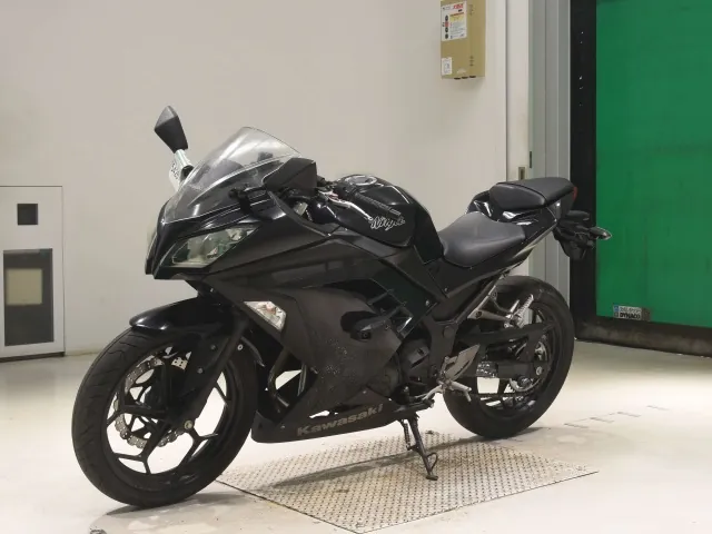 Kawasaki Ninja 300 2013, чёрный, фото 4