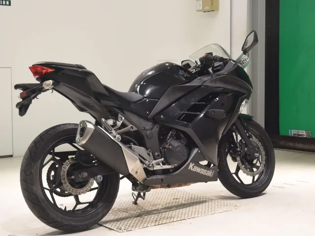 Kawasaki Ninja 300 2013, чёрный, фото 5