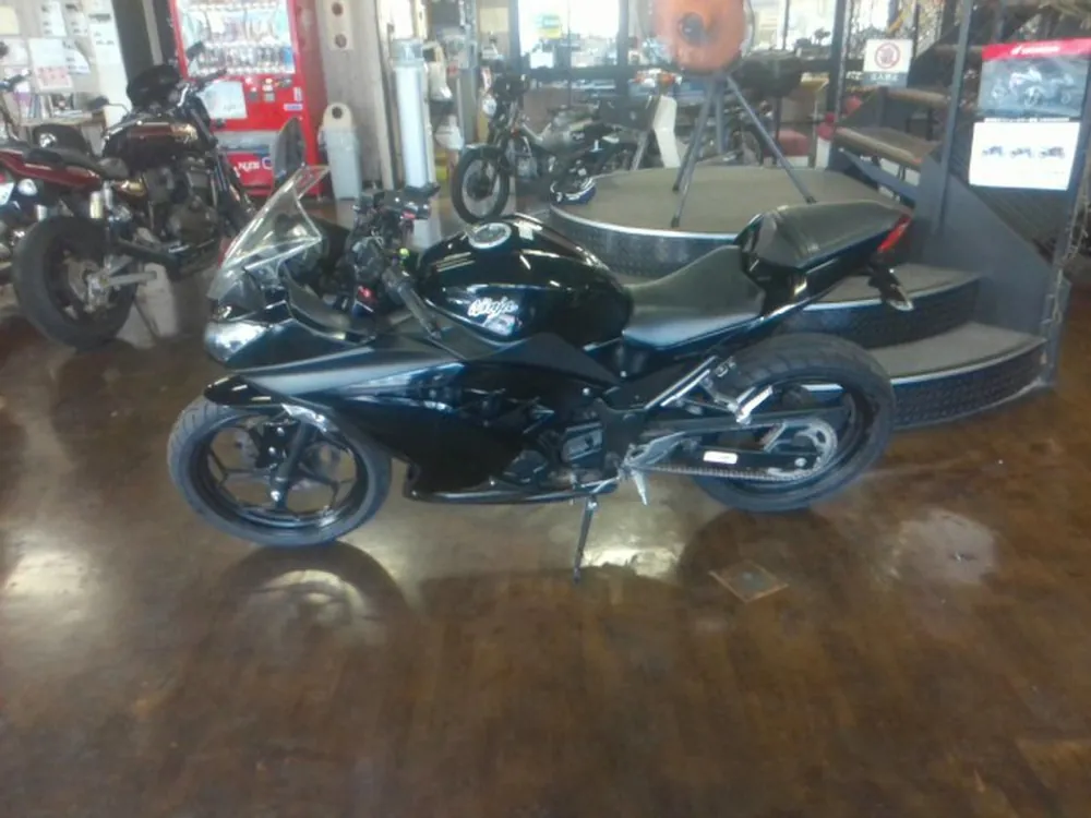 Kawasaki Ninja 200SE 2022, чёрный, фото 2