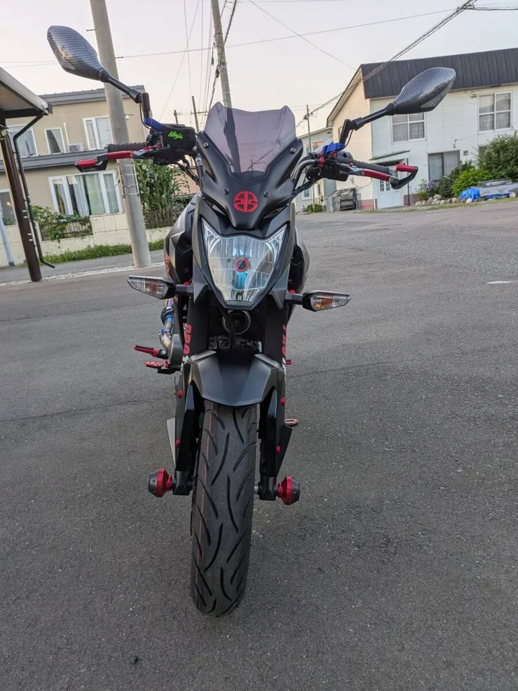 Kawasaki Z125 PRO 2022, фото 3