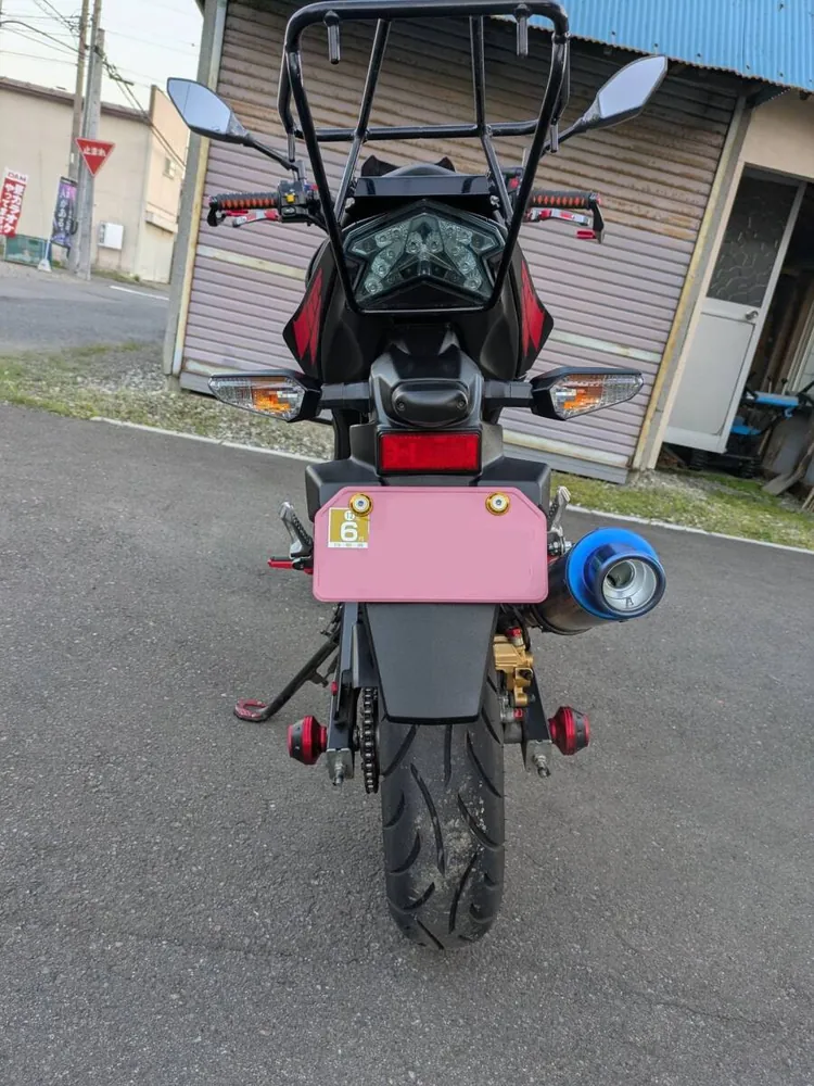 Kawasaki Z125 PRO 2022, фото 6
