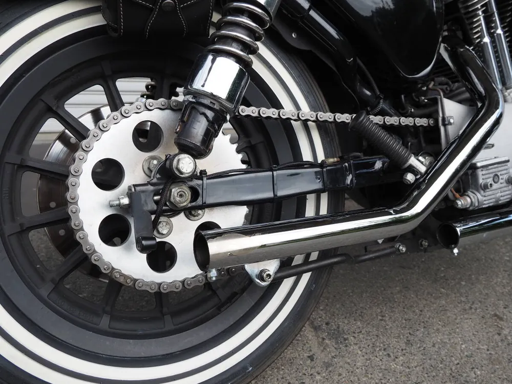 Harley-Davidson XL1200S 2002, фото 10