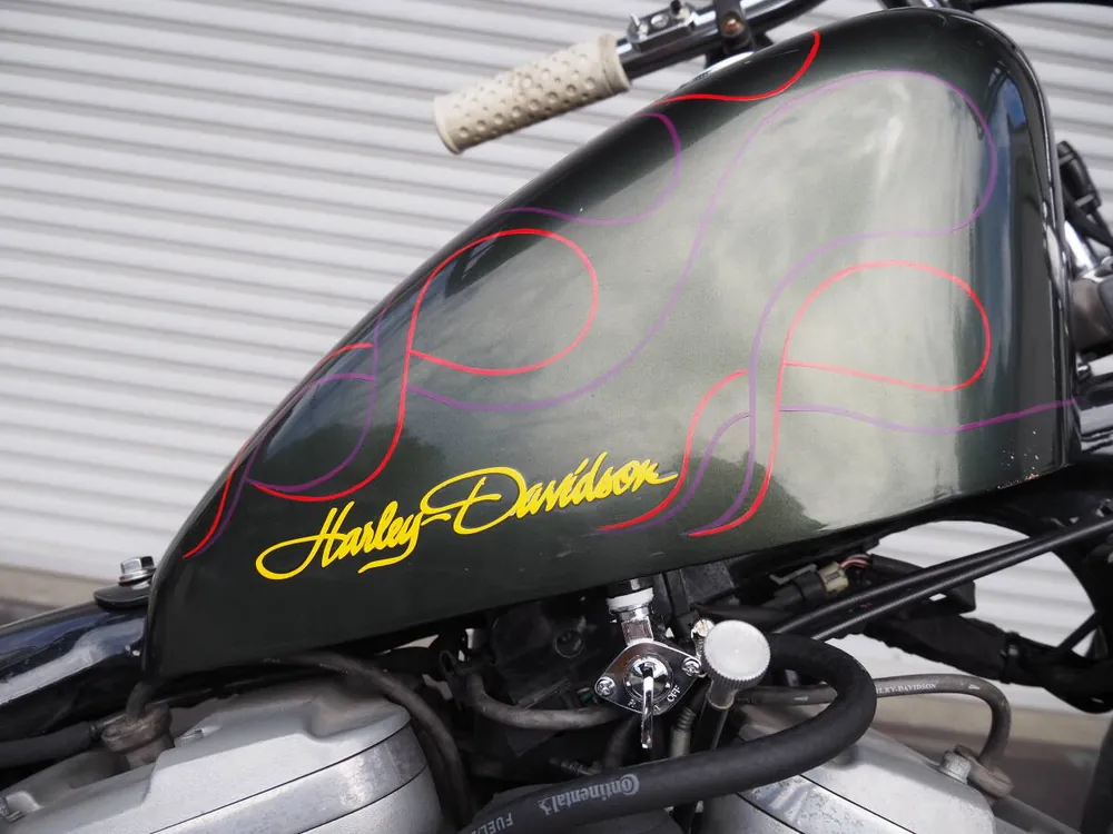 Harley-Davidson XL1200S 2002, фото 2