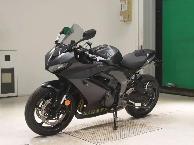 Triumph Daytona 660 2024, matt gun, фото 4