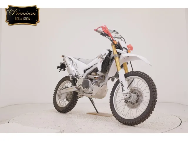 Yamaha WR250R, non, фото 3