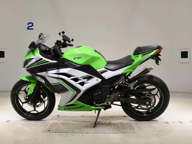 Kawasaki Ninja 250, white | green, фото 2