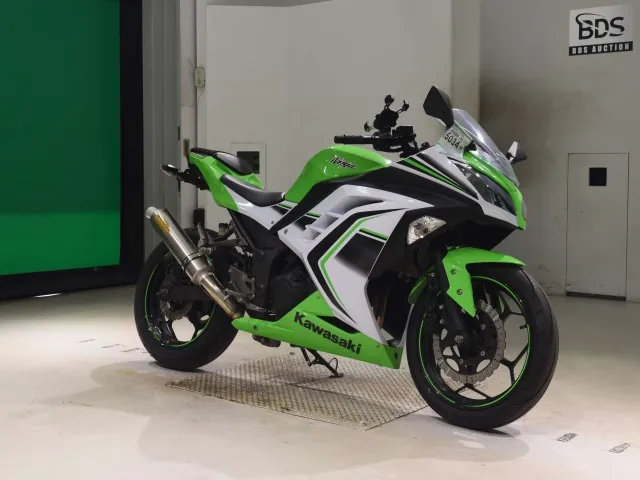 Kawasaki Ninja 250, white | green, фото 3