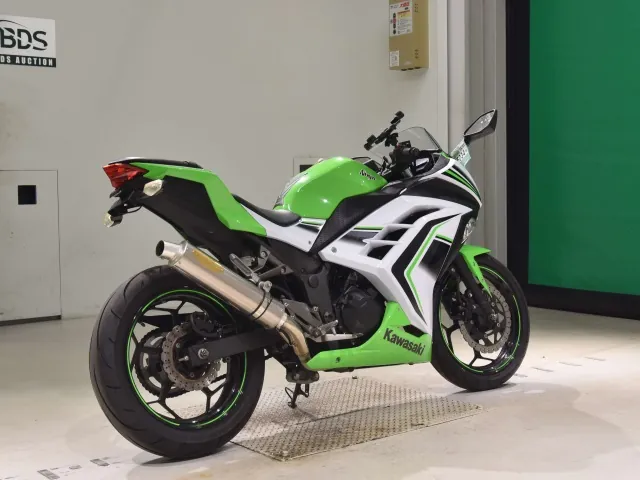 Kawasaki Ninja 250, white | green, фото 5