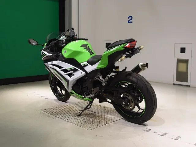 Kawasaki Ninja 250, white | green, фото 6