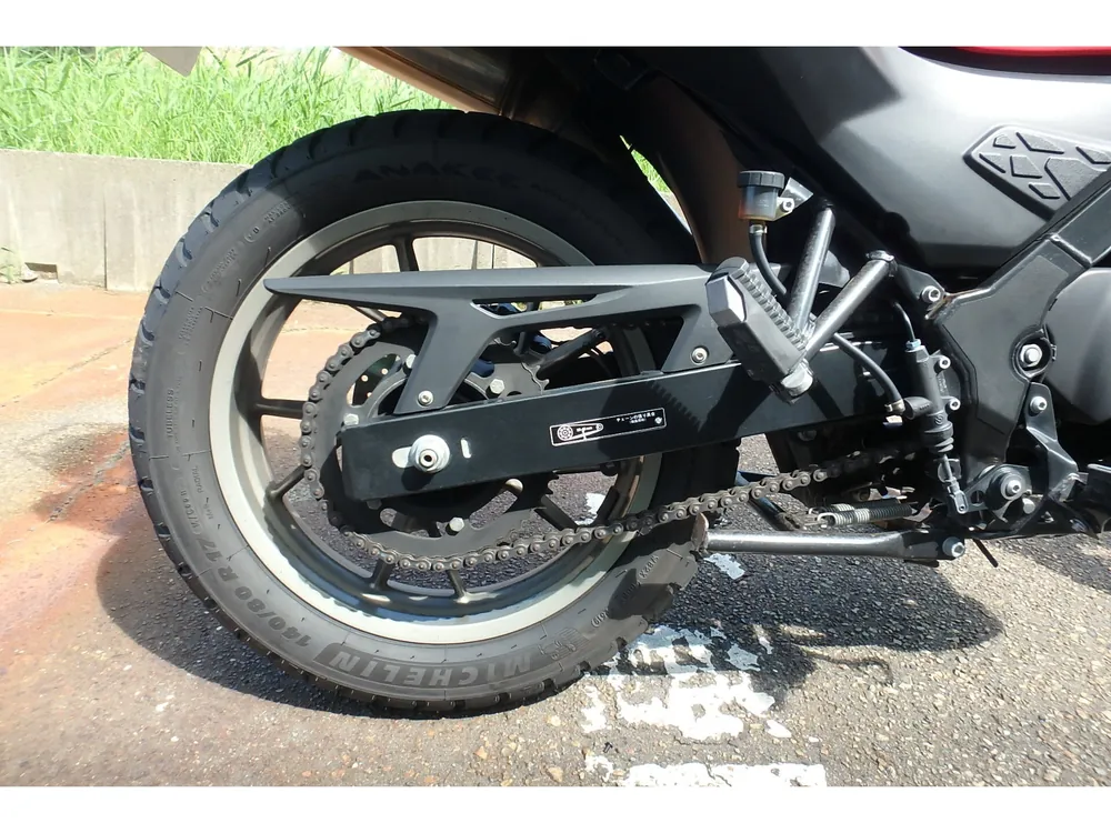 BMW G650Gs Sertao 2012, белый, фото 6