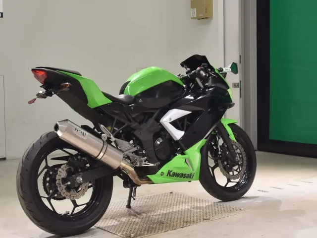 Kawasaki Ninja 250SL, зелёный, фото 5