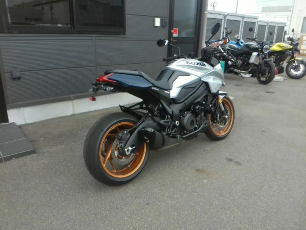Suzuki GSX-S1000GX 2025, серебристый, фото 4