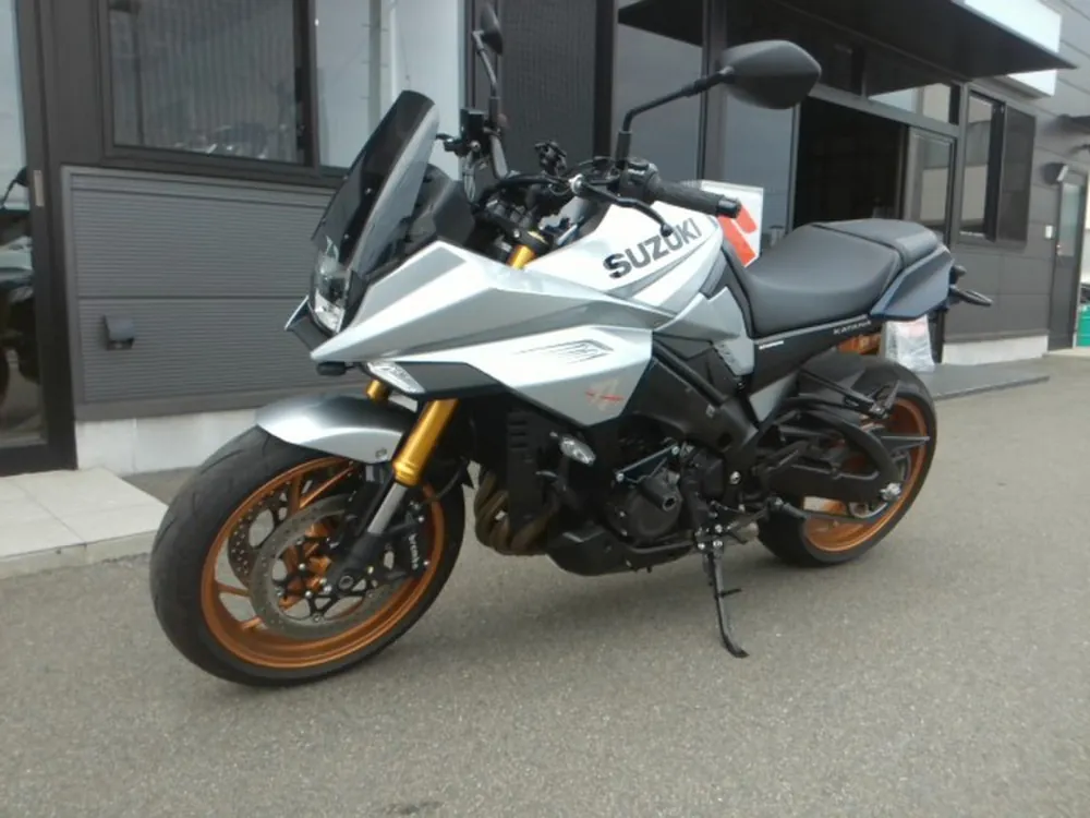 Suzuki GSX-S1000GX 2025, серебристый, фото 5