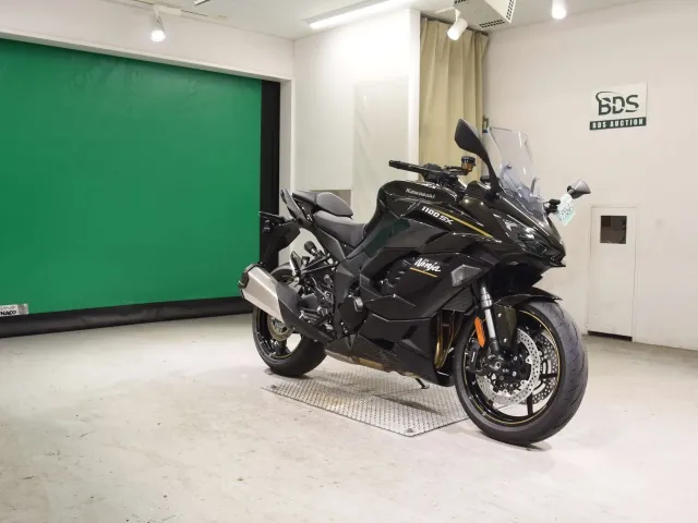 Kawasaki Ninja 1100SX 2026, light brown, фото 3
