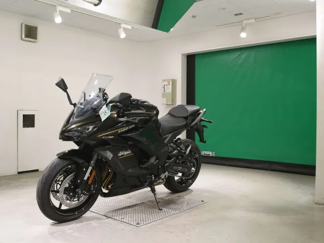 Kawasaki Ninja 1100SX 2026, light brown, фото 4