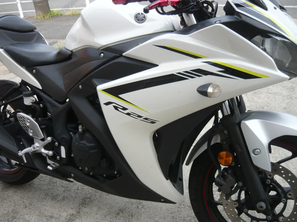 Yamaha YZF-R25, p white / black, фото 5