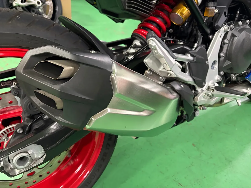 BMW F900Gs 2025, tricolor color, фото 8