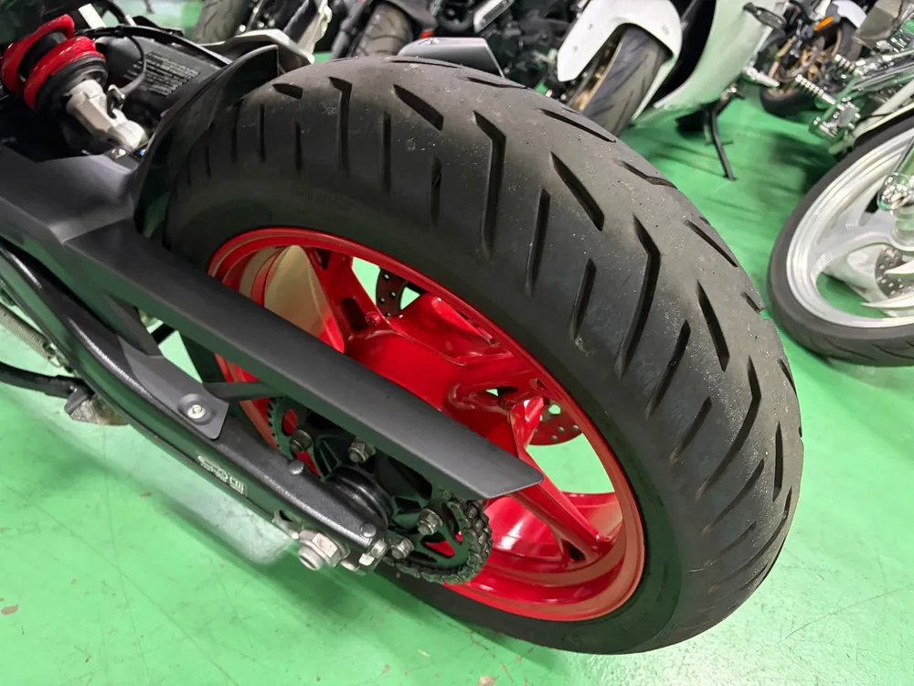 BMW F900Gs 2025, tricolor color, фото 9