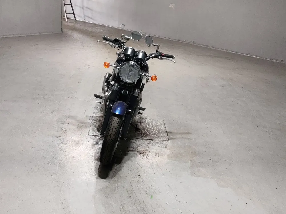 Triumph Bonneville Se 2009, белый, синий, фото 3