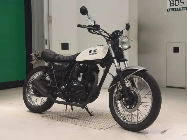 Kawasaki 250TR BJ250F, белый, фото 3