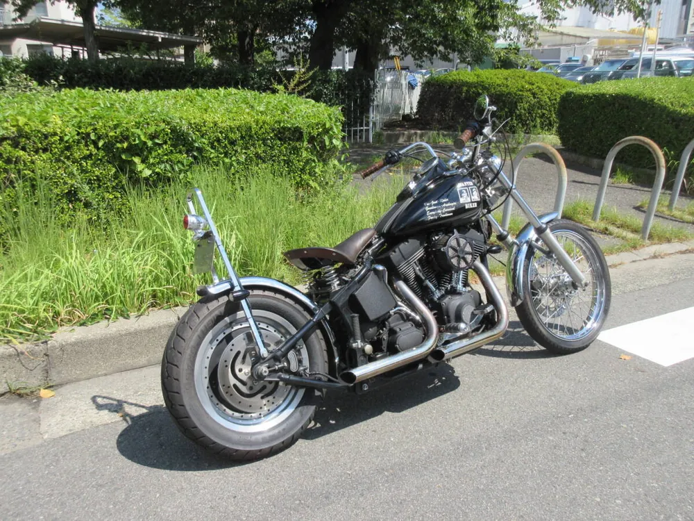 Harley-Davidson FXSTB1450 2005, фото 3