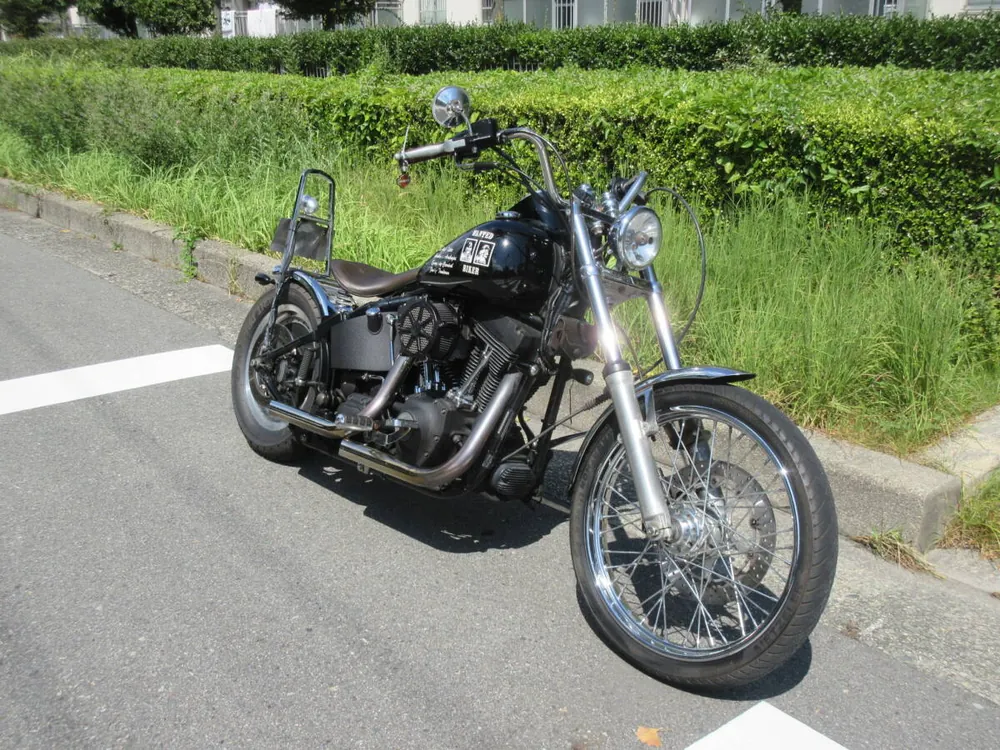 Harley-Davidson FXSTB1450 2005, фото 5
