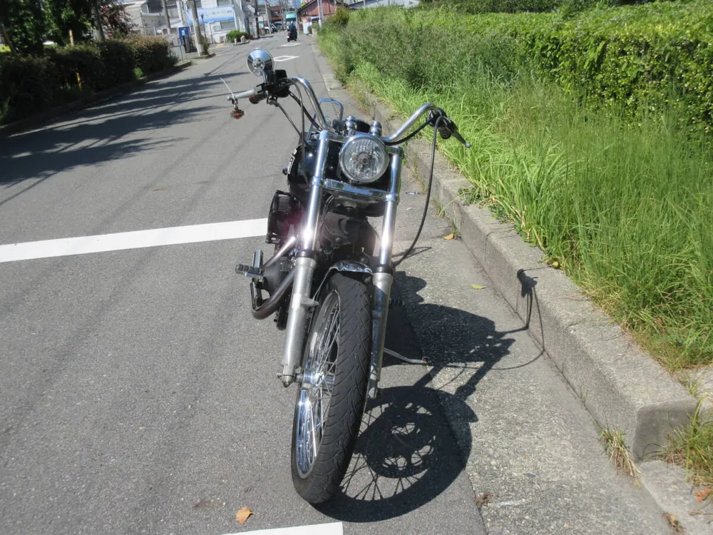 Harley-Davidson FXSTB1450 2005, фото 6