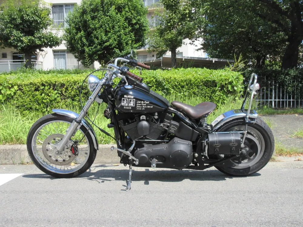 Harley-Davidson FXSTB1450 2005, фото 7