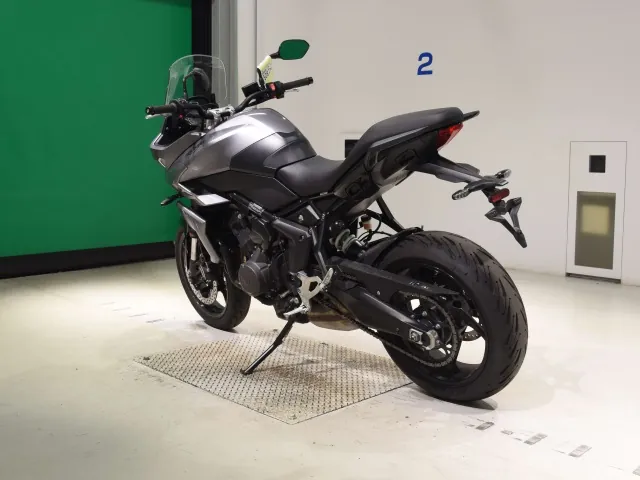 Triumph Tiger Sport 660 2024, серый, фото 6